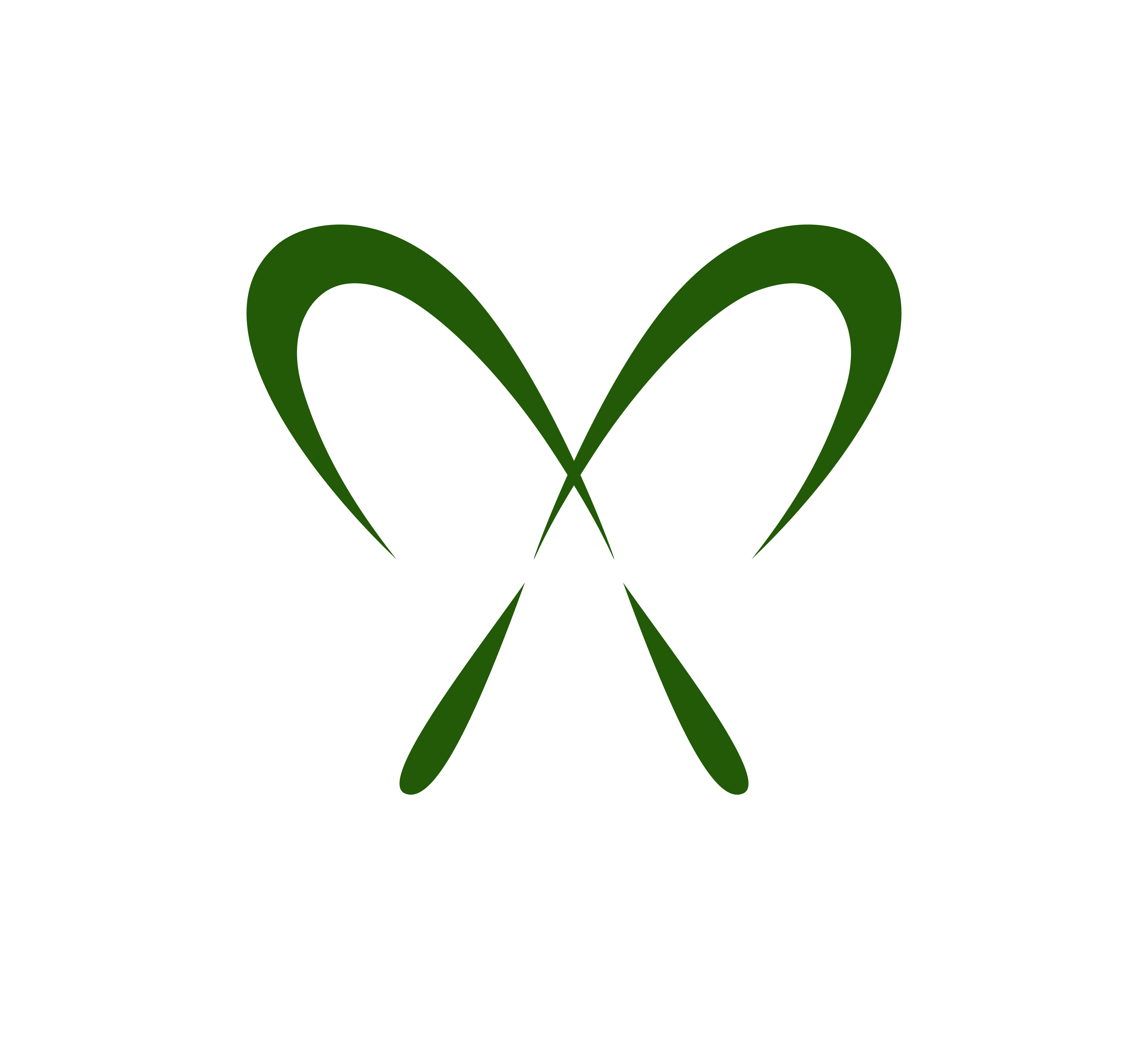 Lesley The Trainer Logo